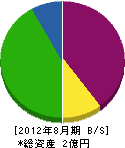 辰巳建設 貸借対照表 2012年8月期