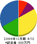 上野電設工業 貸借対照表 2009年12月期