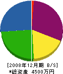 西川土木 貸借対照表 2008年12月期