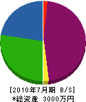 江指組 貸借対照表 2010年7月期