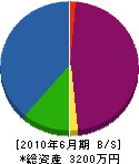 松野建材店 貸借対照表 2010年6月期