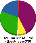 アモウ 貸借対照表 2009年12月期
