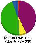 千葉装飾 貸借対照表 2012年8月期