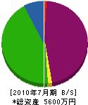 長谷川井戸掘工業 貸借対照表 2010年7月期