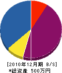 清村設備 貸借対照表 2010年12月期