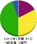 松和 貸借対照表 2013年1月期