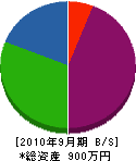 中野電機工務店 貸借対照表 2010年9月期