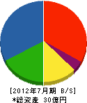 亀山建設 貸借対照表 2012年7月期