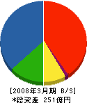 片山ストラテック 貸借対照表 2008年3月期