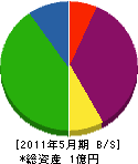 キゾウ志賀工務店 貸借対照表 2011年5月期