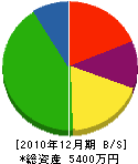 二葉電気 貸借対照表 2010年12月期