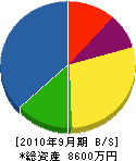 アートエヤコン 貸借対照表 2010年9月期