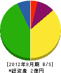 中島電工 貸借対照表 2012年8月期