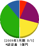竹田運輸 貸借対照表 2009年3月期