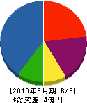 小島建設 貸借対照表 2010年6月期