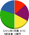 千葉興産 貸借対照表 2012年3月期