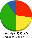 戸田工務店 貸借対照表 2009年11月期