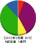 濱田大興土木 貸借対照表 2012年3月期