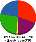 鈴木造園 貸借対照表 2010年10月期
