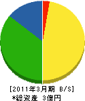 阪神中高年（企） 貸借対照表 2011年3月期