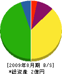 川島組 貸借対照表 2009年8月期