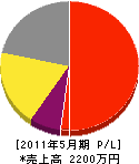 大井川電工 損益計算書 2011年5月期