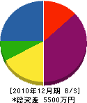 高松園 貸借対照表 2010年12月期