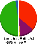 高島組 貸借対照表 2012年10月期