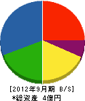 泉谷電気工事 貸借対照表 2012年9月期