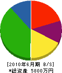 伊藤塗装工業 貸借対照表 2010年6月期
