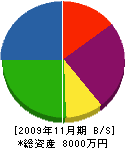 渡辺電機 貸借対照表 2009年11月期 渡辺電機 貸借対照表 2009年11月期
