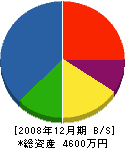 手嶋商店 貸借対照表 2008年12月期