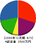 大庭組 貸借対照表 2008年12月期