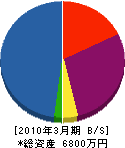 齋藤住設 貸借対照表 2010年3月期