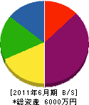 川渕工業 貸借対照表 2011年6月期