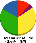 テプラス野沢 貸借対照表 2011年12月期