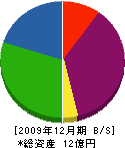 伊藤鉄工造船 貸借対照表 2009年12月期