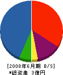 宇田建設 貸借対照表 2008年6月期