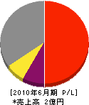 静岡安全施設 損益計算書 2010年6月期