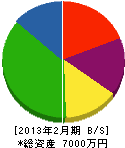 渋谷商店 貸借対照表 2013年2月期