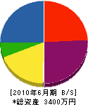池田経師店 貸借対照表 2010年6月期