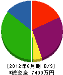 木元産業 貸借対照表 2012年6月期
