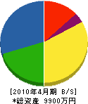 峰村電気商会 貸借対照表 2010年4月期
