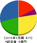 岸本石材工業 貸借対照表 2010年3月期