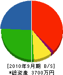 昭電産業 貸借対照表 2010年9月期