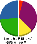 新井建設 貸借対照表 2010年9月期