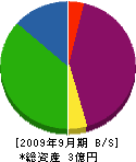 アクティブジャパン 貸借対照表 2009年9月期
