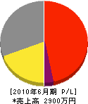 安部電気工事 損益計算書 2010年6月期