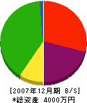 野田建設 貸借対照表 2007年12月期