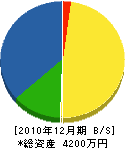 桃崎設備 貸借対照表 2010年12月期